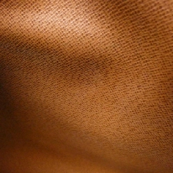 Túi đeo vai Louis Vuitton Monogram Nile M45244 - Hàng hiệu Chính hãng 805756