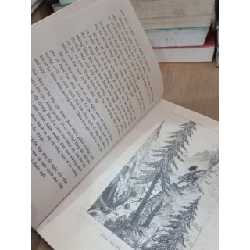 Rô-ni-a con gái tướng cướp - Astrid Lindgren 735403