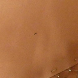 Bottega Veneta Cabas 115664 Túi - Hàng hiệu Chính hãng 771688