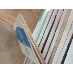 Xã hội học đại cương - Nguyễn Sinh Huy 704245