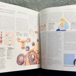 Atlas of Anatomy - Giải phẫu học 971633