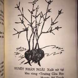 Tìm Hiểu Ngải Nghệ Huyền Bí – Huỳnh Liên Tử

 89644