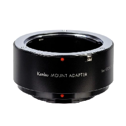 ＫＥＮＫＯ Ｃ／Ｙ－ＦＵＪＩ Ｘ - Hàng hiệu Authentic