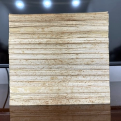 Trọn bộ Truyện tranh Katsu! 16 tập 524176