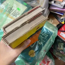 Sách đất vỡ hoang bìa cứng 312736