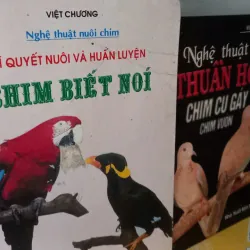 sách nuôi chim 990861
