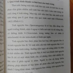 BỆNH HỌC GIỚI TÍNH NAM 703801