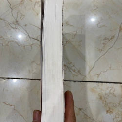 Leonardo Da Vinci - Walter Isaacson ( c) 444698