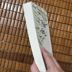 Phận liễu - Chu Thanh Hương 508537