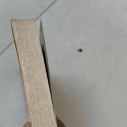 Mọi điều ta chưa nói  406191
