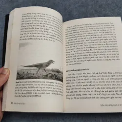 HỖN ĐỘN VÀ HÀI HOÀ 957498