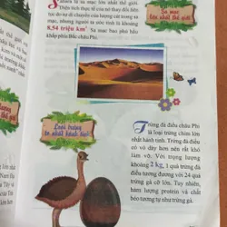 Bạn tin được không Khám phá những kỷ lục trên thế giới 🌊 692787