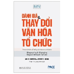 Đánh Giá Và Thay Đổi Văn Hoá Tổ Chức - Diagnosing And Changing Organizational Culture - Kim S. Cameron, Robert E. Quinn