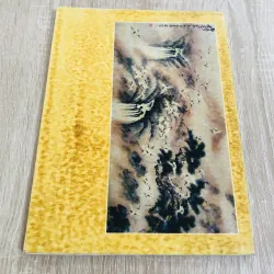 TẬP TRANH TRƯƠNG HÁN MINH 999327