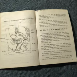 (Giáo dục giới tính cho thanh thiếu niên) Người con gái lấy chồng - BS. Trần Bồng Sơn 697731