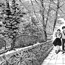 [HỌC ĐƯỜNG] Mùa hè bất tận - Lâm Hoàng Trúc 608812