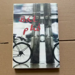 Bát phố - Nguyễn Bảo Sinh 995444