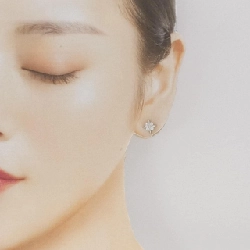 Bông tai Tiffany - Hàng hiệu Authentic 843811