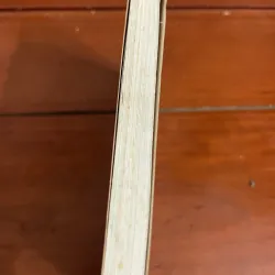 Lịch sử nô tỳ Chử Cống Sinh 1005182