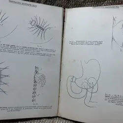 Kthuật phẫu thuật bằng hình ảnh -TECHNIQUE CHIRURGIEALE EN FIGURES G.JEANNENEY& J.MAGENDIE 1006345