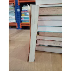 Người Bắc Kinh ở Newyork - Tào Quế Lâm 450292