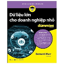 Dữ liệu lớn cho doanh nghiệp nhỏ for Dummies - Bernard Marr - 2020 - DUMMIES Rebooks.vn