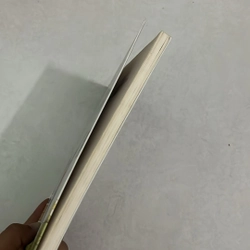 Mẹ ơi, con muốn làm con gái — Alex Gino 501062
