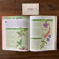Sách ngoại văn The Big Book of Knowledge, Used, Bìa cứng, Siêu dày 542211