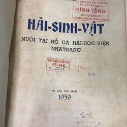 HẢI SINH VẬT NUÔI TẠI HỒ CÁ VIỆN HẢI HỌC NHA TRANG - TRẦN TRỌNG PHAN 454935