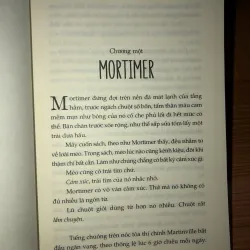 Thư viện bí ẩn - Rebecca Stead - Wendy Mass 1000584