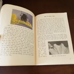 Chuyện lạ có thật về Thực vật (1994) 974194