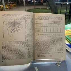 GIÁO TRÌNH CÂY CHÈ 674163