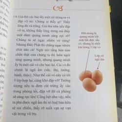 Con Đường Xuất Tục Nhập Thế - Thầy Hằng Trường 680749