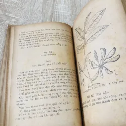 CÂY RỪNG , nxb: 1978 956947