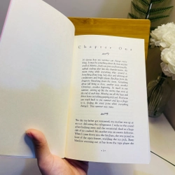 [Sách 2hand từ US] Like new 90% - That summer _ Sarah Dessen 475225