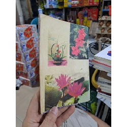 Thú Chơi Hoa Cảnh Non Bộ Xưa Và Nay - Phạm Kế - 1995 mới 80% ố - KỸ NĂNG - HCM3012 749688