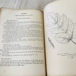 CÂY GỖ RỪNG VIỆT NAM ( tập 2,4,5,6) 956969