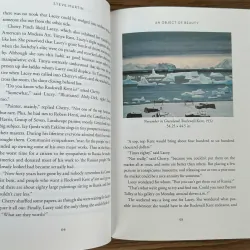 An Object of Beauty - Steve Martin 783031