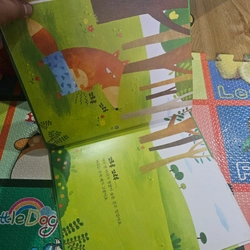 Sách học tiếng Hàn bìa cứng In màu như hình  418795