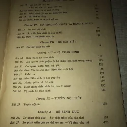 Sinh vật bổ túc văn hoá 994855