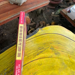 ĐỘN MAI HOA VÀ BỘC PHẾ CHÍNH TÔNG 473582