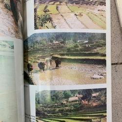 NGƯỜI NÙNG - NGƯỜI THÁI- NGƯỜI GIA RAI- NGƯỜI KHƠ MÚ- NGƯỜI SI LA- NGƯỜI CO (COMBO 6 CUỐN) 501696
