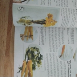 Học vẽ tranh màu nước 548970