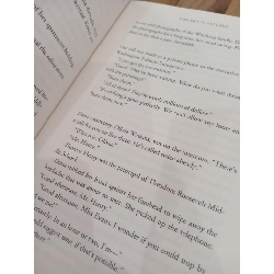 The sky is falling - Sidney Sheldon 568300