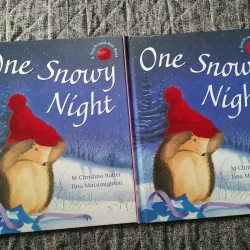 ONE SNOWY NIGHT