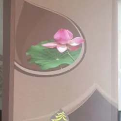 Tịnh Nghiệp Tam Phước 736977