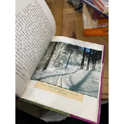 Henry David Thoreau (American Naturalist ) - Peter Anderson 549647