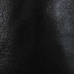 Áo khoác da COLE HAAN 639255