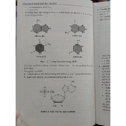 Công phá lý thuyết Sinh học 784455