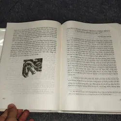 VĂN MINH RỒNG VÀ NĂM 2000 957883